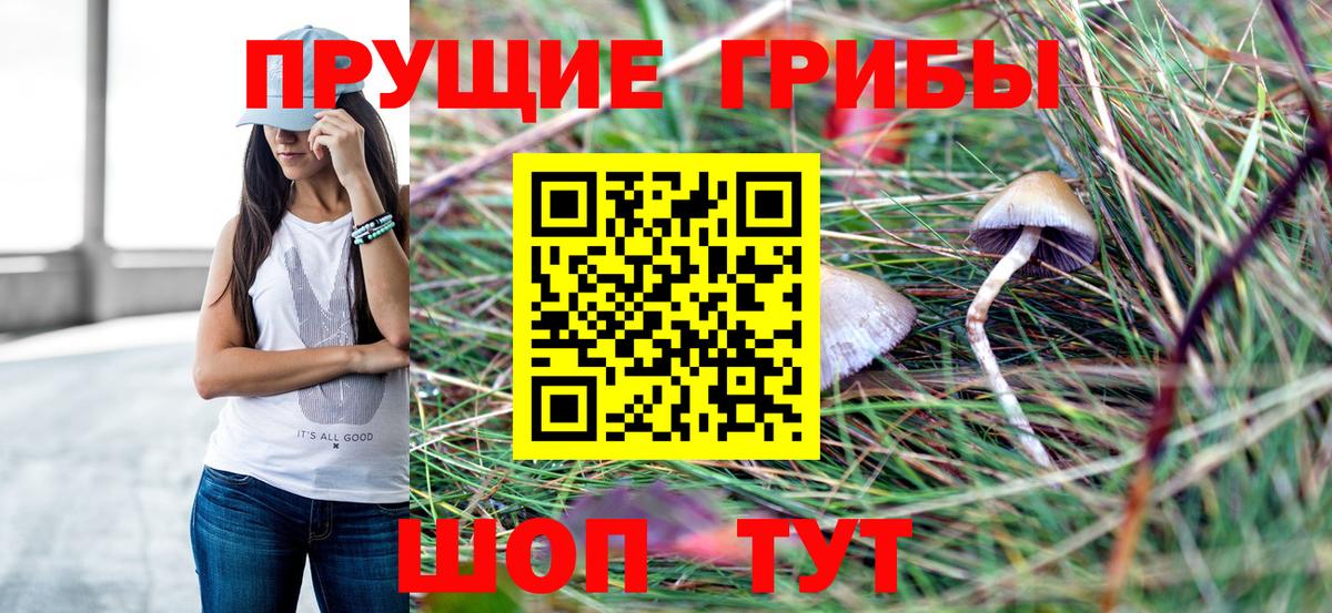 Галлюциногенные грибы Magic Shrooms  Вход с VPN  Кыштым 
